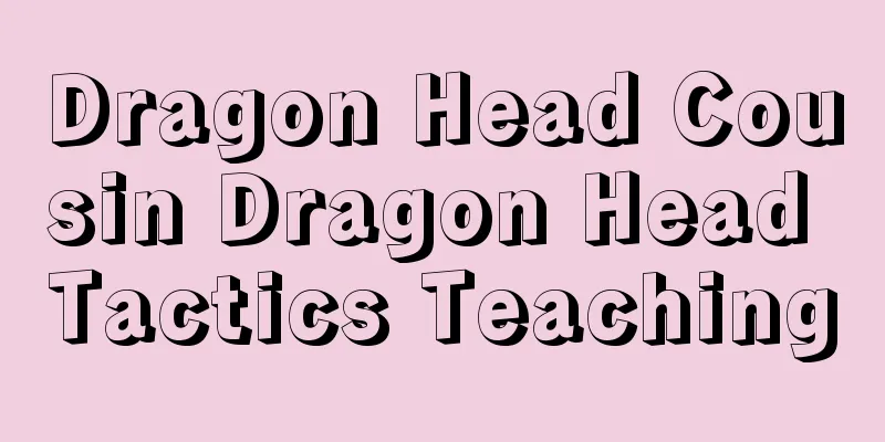 Dragon Head Cousin Dragon Head Tactics Teaching