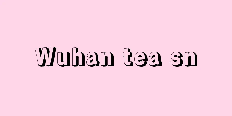 Wuhan tea sn