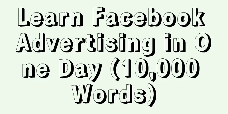 Learn Facebook Advertising in One Day (10,000 Words)