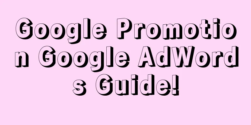 Google Promotion Google AdWords Guide!