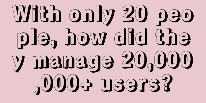 With only 20 people, how did they manage 20,000,000+ users?