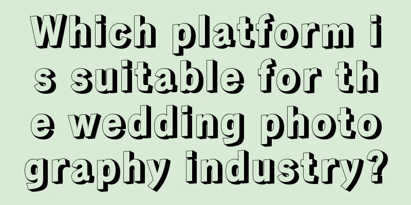 Which platform is suitable for the wedding photography industry?