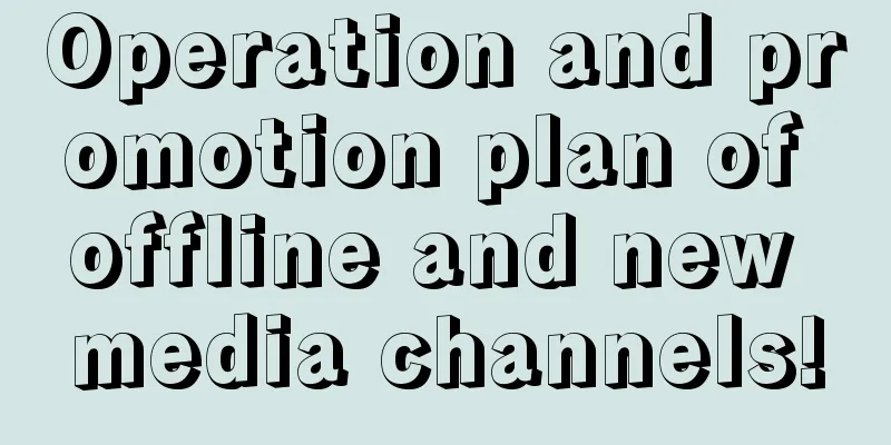 Operation and promotion plan of offline and new media channels!