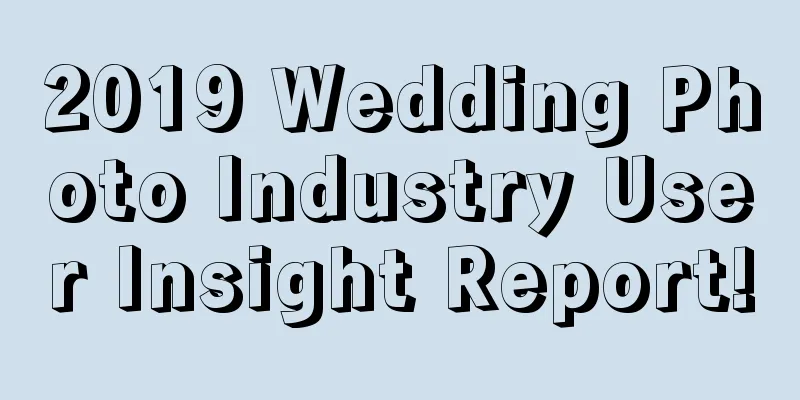 2019 Wedding Photo Industry User Insight Report!