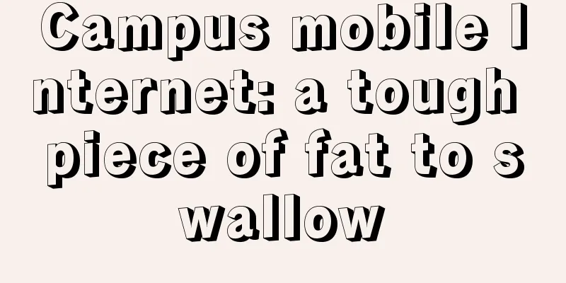 Campus mobile Internet: a tough piece of fat to swallow