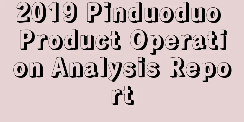 2019 Pinduoduo Product Operation Analysis Report