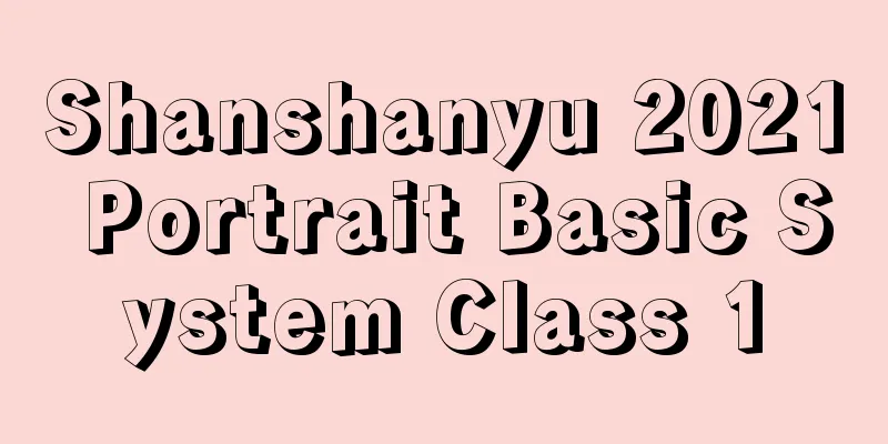 Shanshanyu 2021 Portrait Basic System Class 1