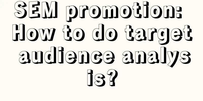 SEM promotion: How to do target audience analysis?