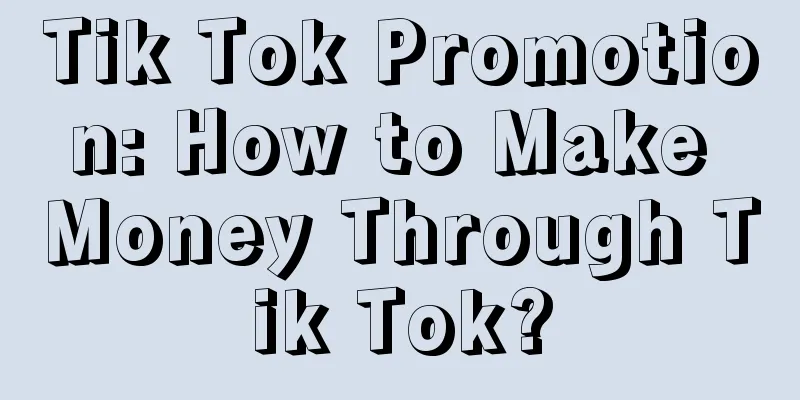 Tik Tok Promotion: How to Make Money Through Tik Tok?