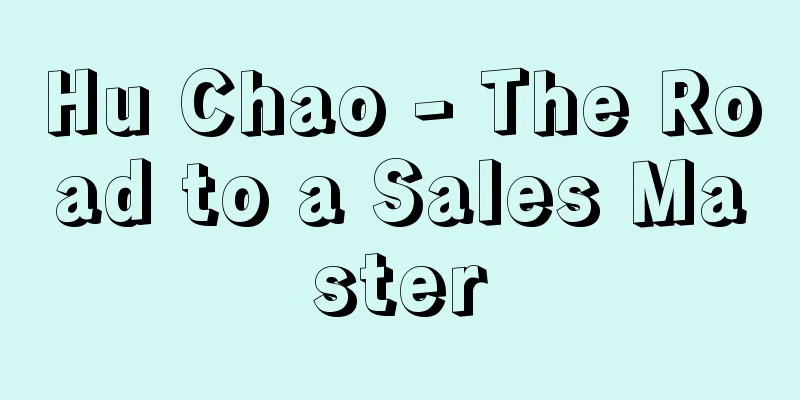 Hu Chao - The Road to a Sales Master