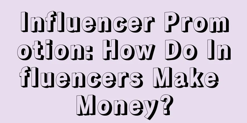 Influencer Promotion: How Do Influencers Make Money?