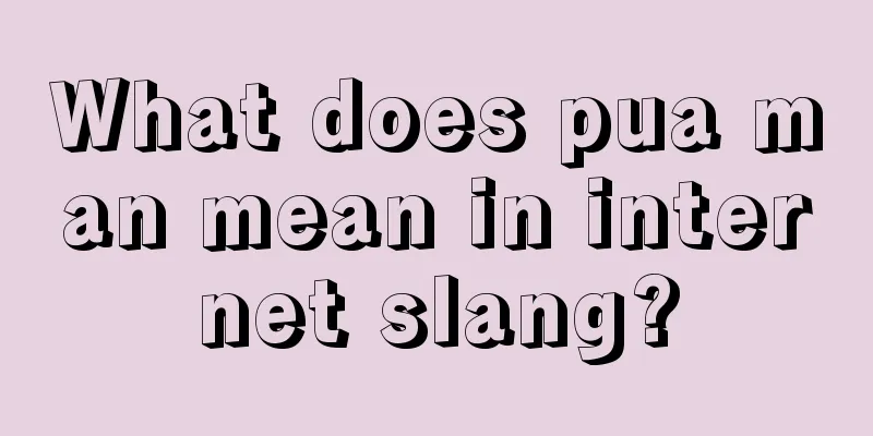 What does pua man mean in internet slang?