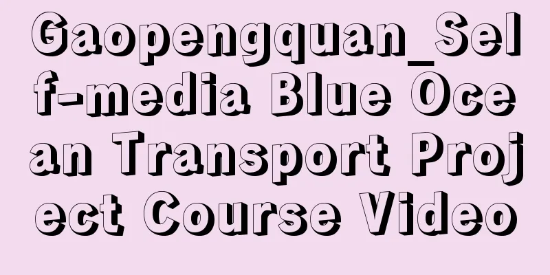 Gaopengquan_Self-media Blue Ocean Transport Project Course Video