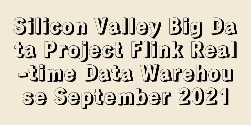 Silicon Valley Big Data Project Flink Real-time Data Warehouse September 2021