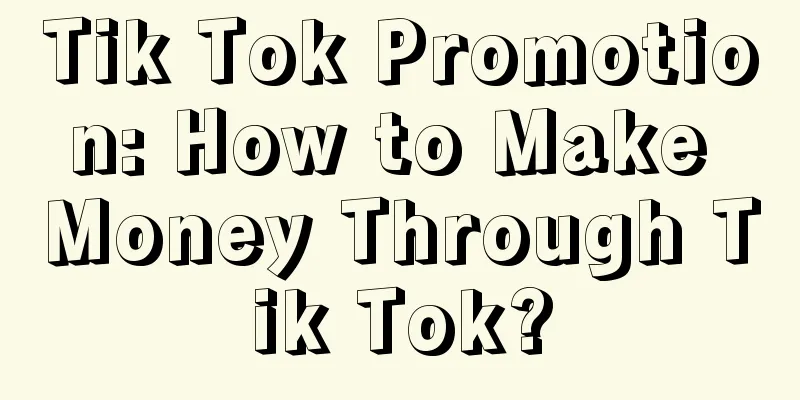 Tik Tok Promotion: How to Make Money Through Tik Tok?