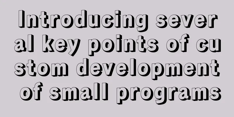 Introducing several key points of custom development of small programs