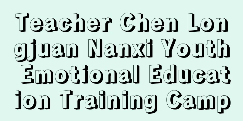 Teacher Chen Longjuan Nanxi Youth Emotional Education Training Camp