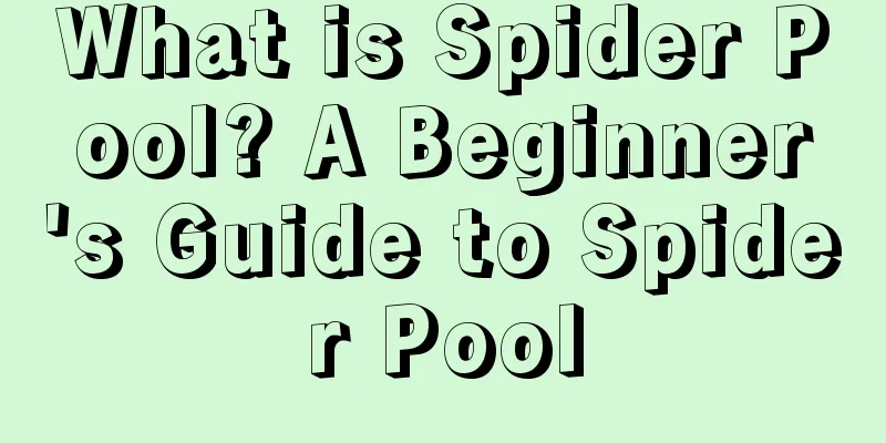 What is Spider Pool? A Beginner's Guide to Spider Pool