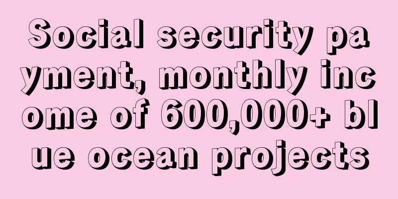 Social security payment, monthly income of 600,000+ blue ocean projects