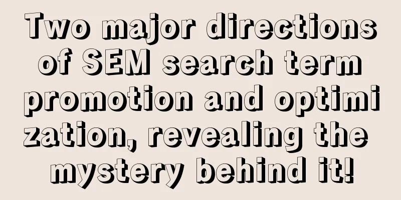 Two major directions of SEM search term promotion and optimization, revealing the mystery behind it!