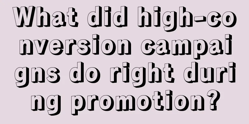 What did high-conversion campaigns do right during promotion?