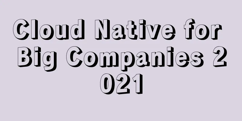 Cloud Native for Big Companies 2021