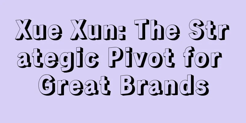 Xue Xun: The Strategic Pivot for Great Brands