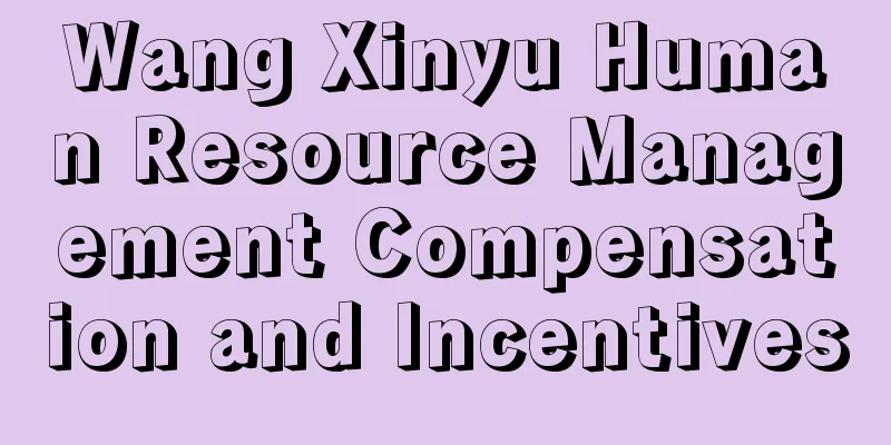 Wang Xinyu Human Resource Management Compensation and Incentives