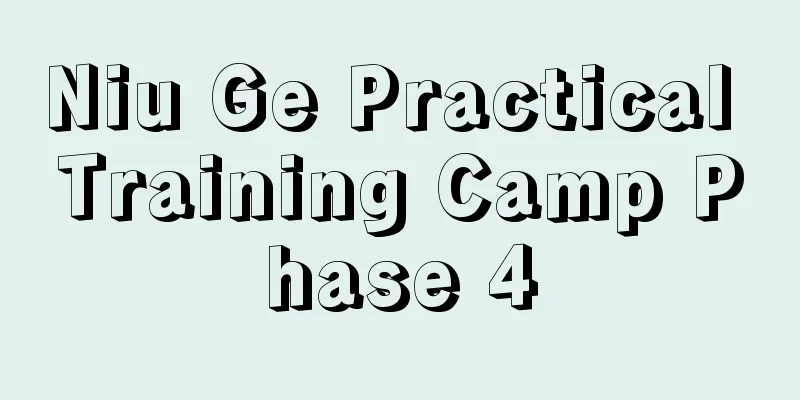 Niu Ge Practical Training Camp Phase 4