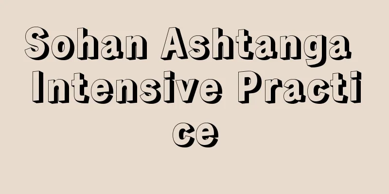 Sohan Ashtanga Intensive Practice