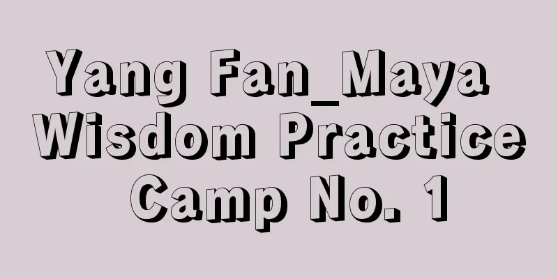 Yang Fan_Maya Wisdom Practice Camp No. 1