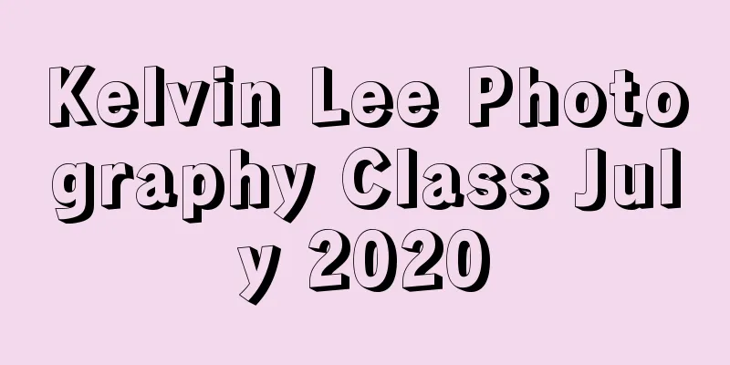 Kelvin Lee Photography Class July 2020