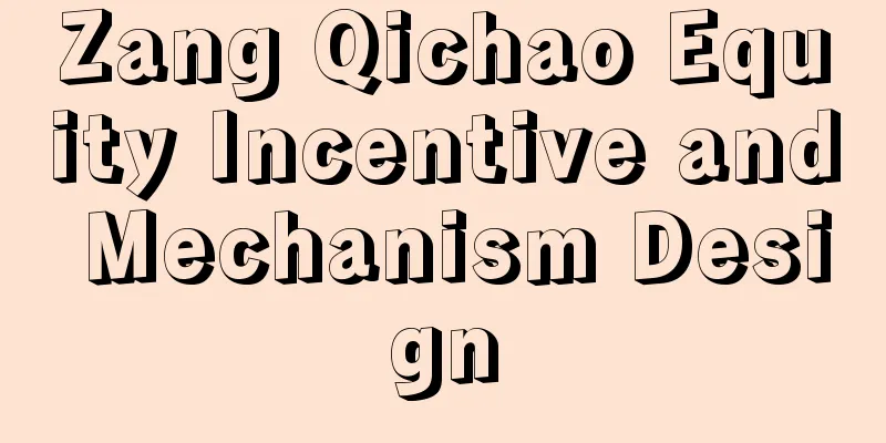 Zang Qichao Equity Incentive and Mechanism Design