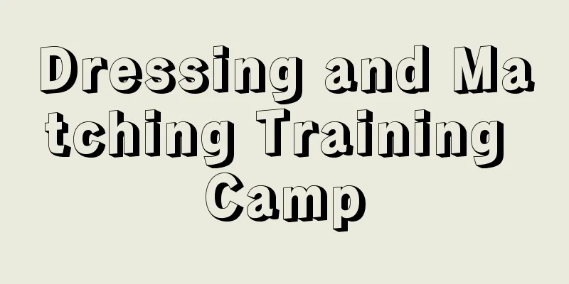 Dressing and Matching Training Camp