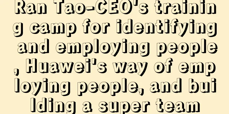 Ran Tao-CEO's training camp for identifying and employing people, Huawei's way of employing people, and building a super team