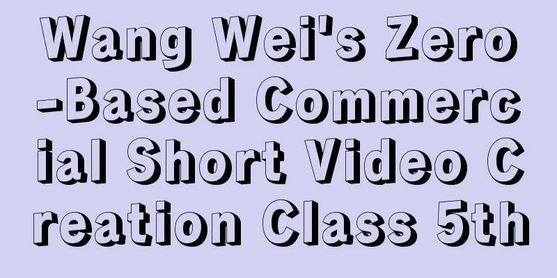 Wang Wei's Zero-Based Commercial Short Video Creation Class 5th