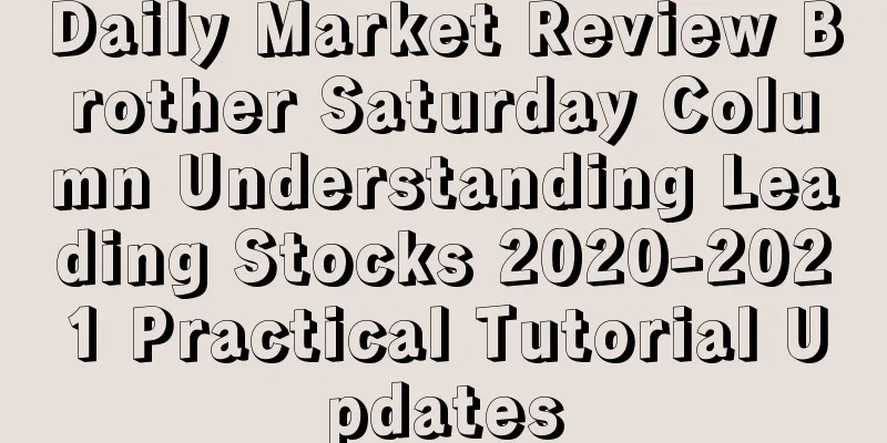 Daily Market Review Brother Saturday Column Understanding Leading Stocks 2020-2021 Practical Tutorial Updates