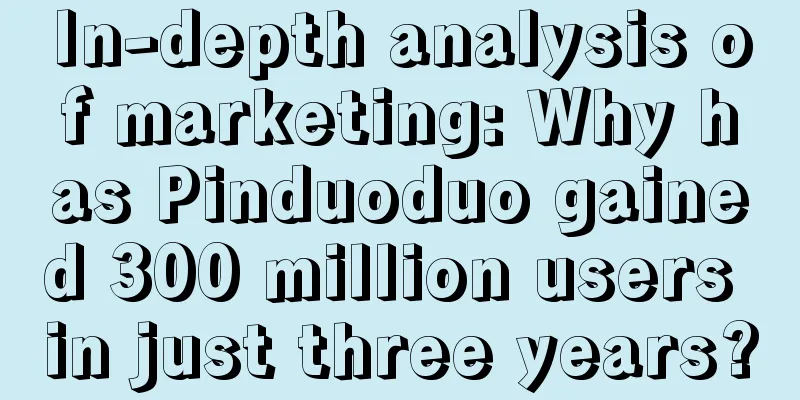 In-depth analysis of marketing: Why has Pinduoduo gained 300 million users in just three years?