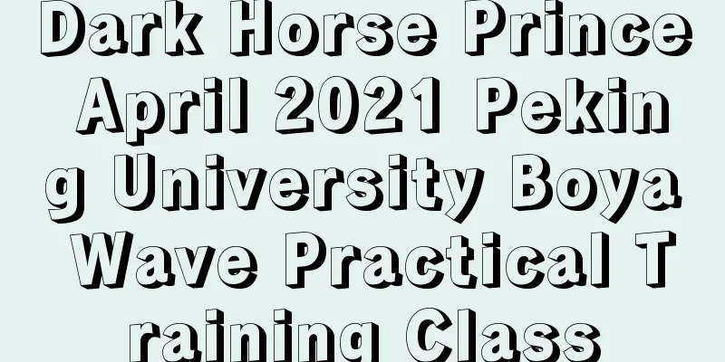 Dark Horse Prince April 2021 Peking University Boya Wave Practical Training Class