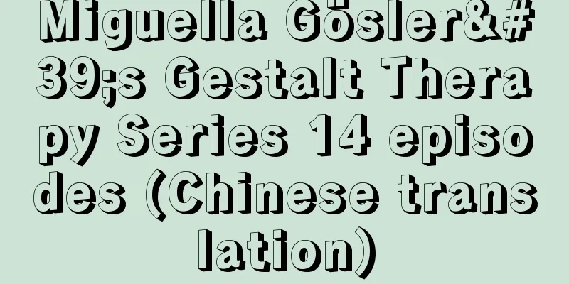 Miguella Gösler's Gestalt Therapy Series 14 episodes (Chinese translation)