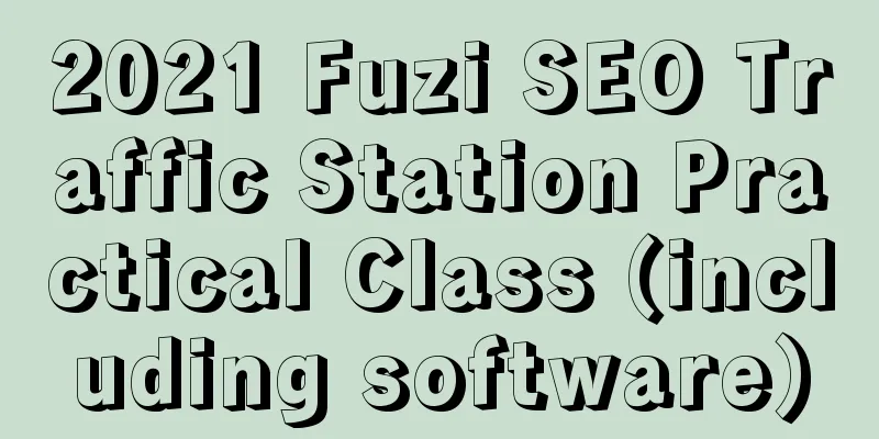 2021 Fuzi SEO Traffic Station Practical Class (including software)