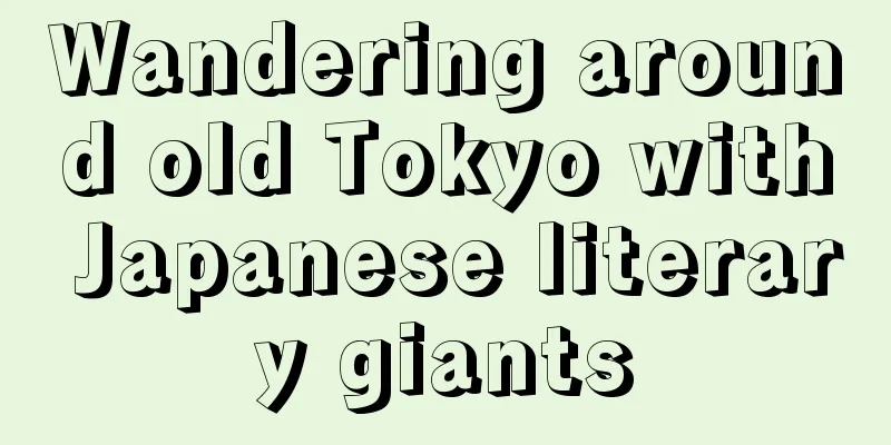 Wandering around old Tokyo with Japanese literary giants