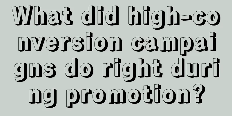 What did high-conversion campaigns do right during promotion?