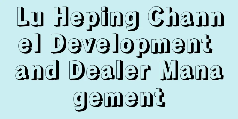 Lu Heping Channel Development and Dealer Management