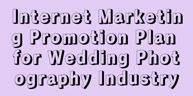 Internet Marketing Promotion Plan for Wedding Photography Industry