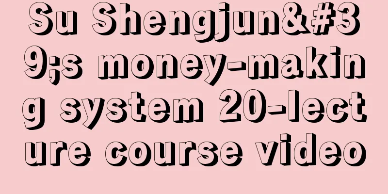 Su Shengjun's money-making system 20-lecture course video