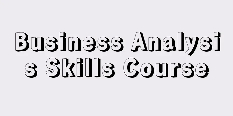 Business Analysis Skills Course