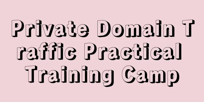 Private Domain Traffic Practical Training Camp