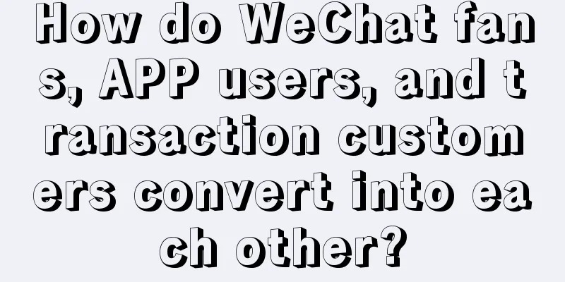 How do WeChat fans, APP users, and transaction customers convert into each other?