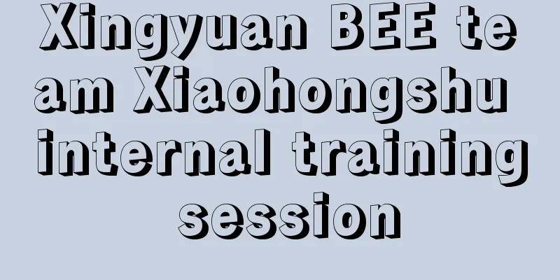 Xingyuan BEE team Xiaohongshu internal training session